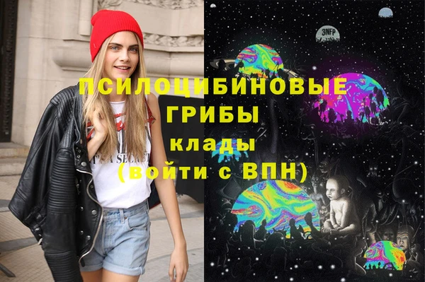 дмт Белокуриха
