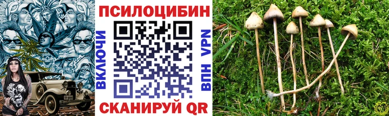 цены наркотик  Невель  Псилоцибиновые грибы Cubensis 